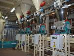 Dosing System
